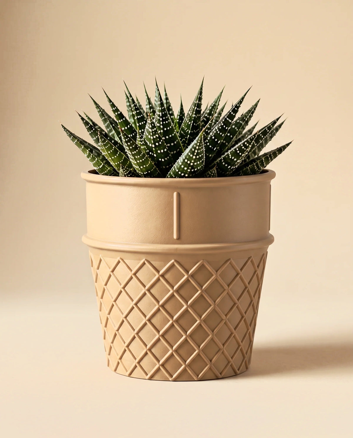 Külah tasarımlı mini saksı 12 cm – sukulent ve kaktüs saksısı