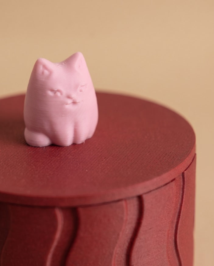 Kedili takı kutusu bordo kırmızı – pembe kedi yakın plan
