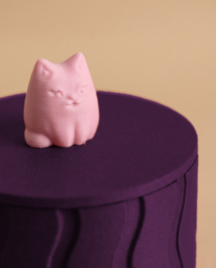 Kedili takı kutusu patlıcan moru – pembe kedi yakın plan