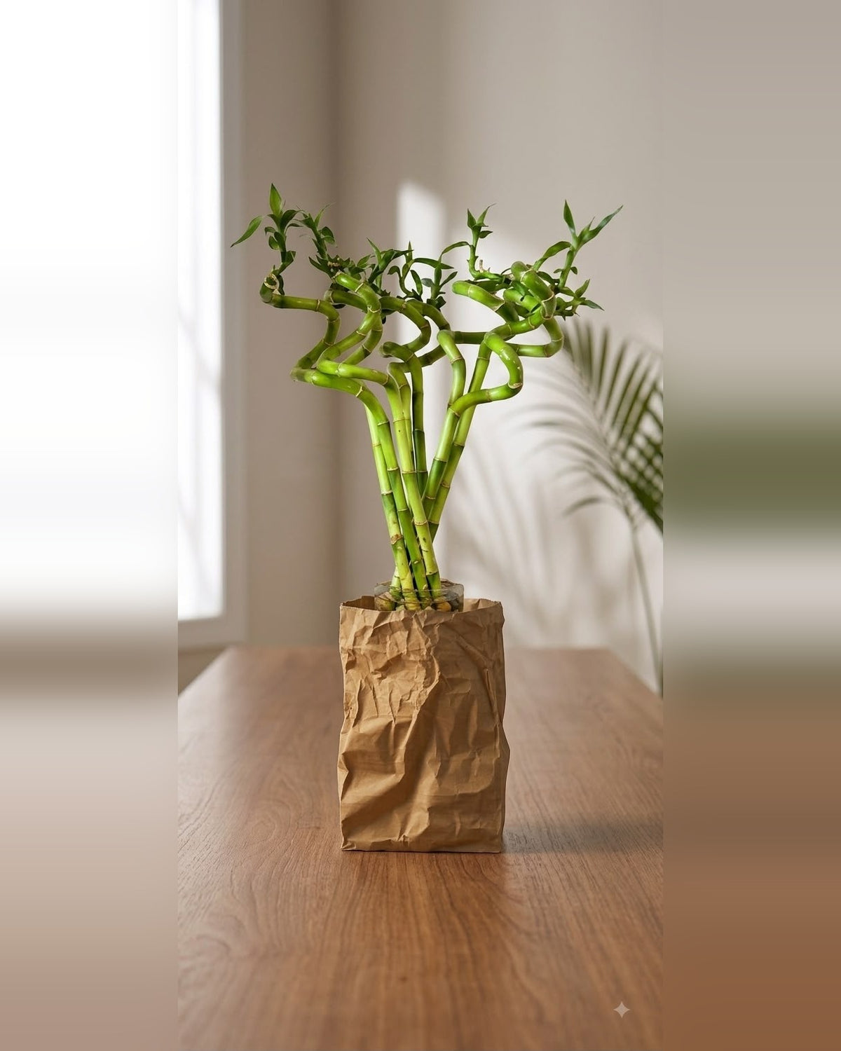Dekoratif Vazo Crush 20 cm – 5. görsel