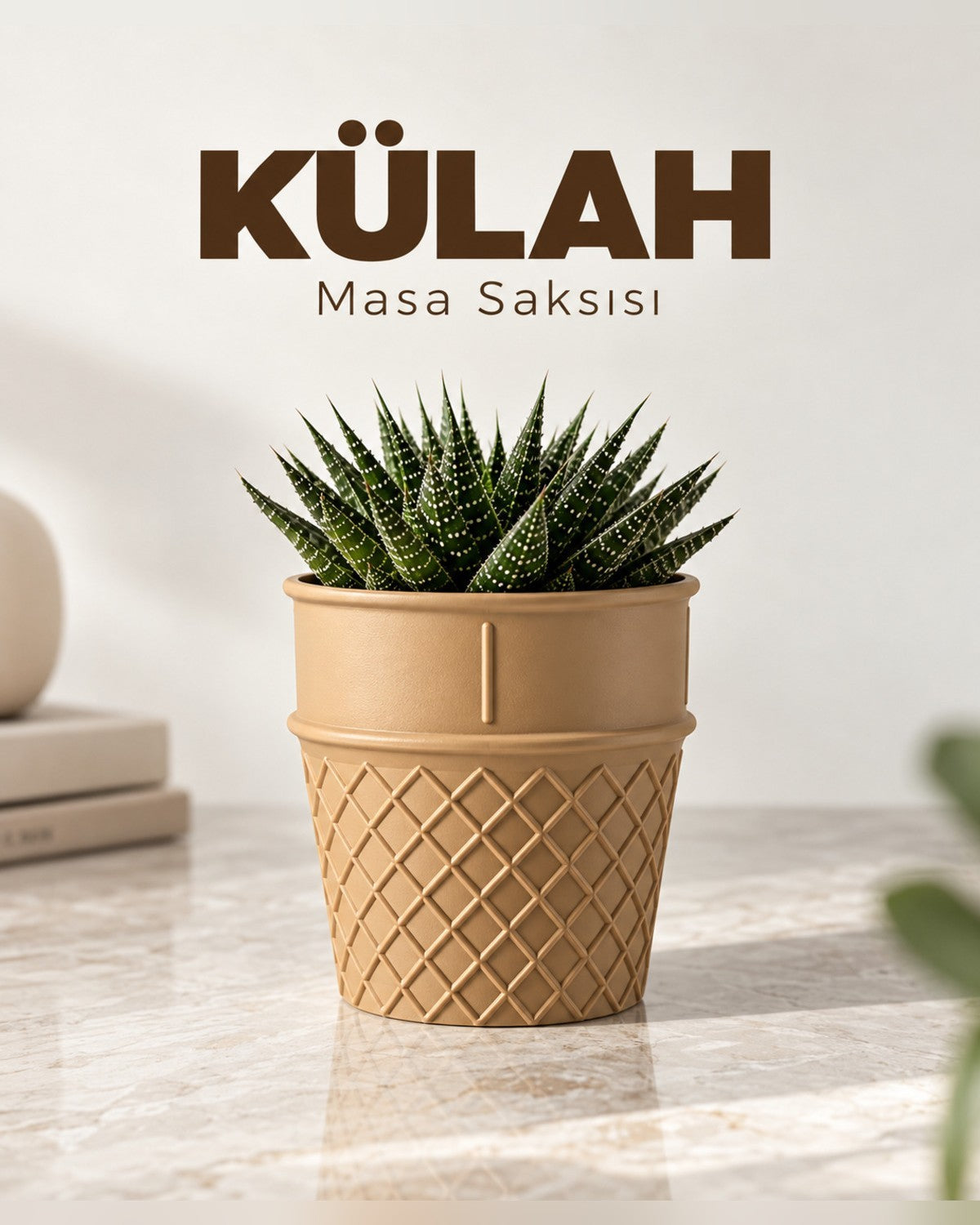 Külah Tasarımlı Mini Saksı 12 cm